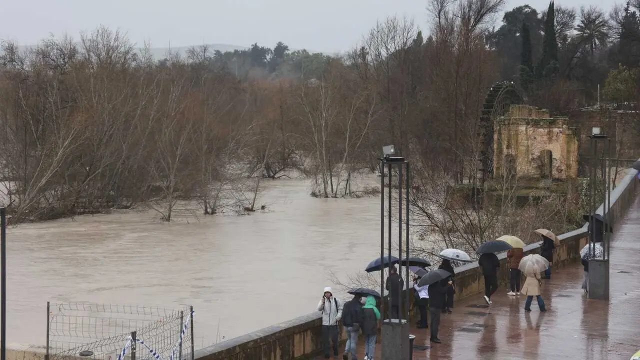 El paso del R&iacute;o Guadalquivir por C&oacute;rdoba.