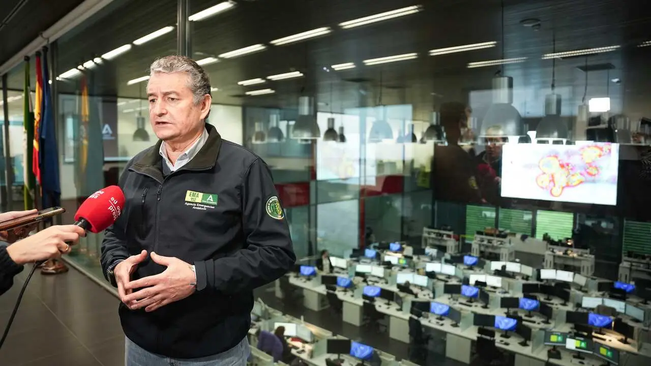 El consejero de Sanidad, Presidencia y Emergencias de la Junta de Andaluc&iacute;a, Antonio Sanz