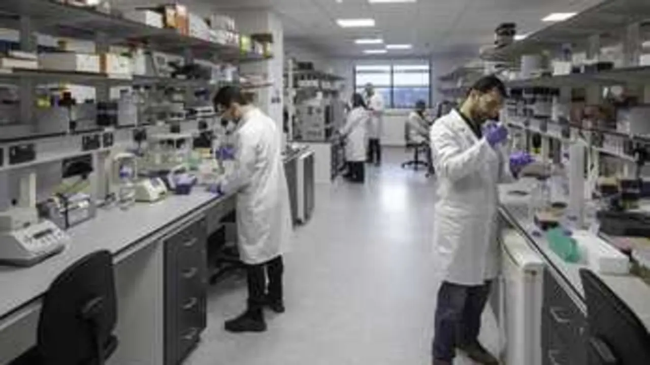 Biomolecular Science and Medicinal Chemistry Division | Universidad de Nottingham