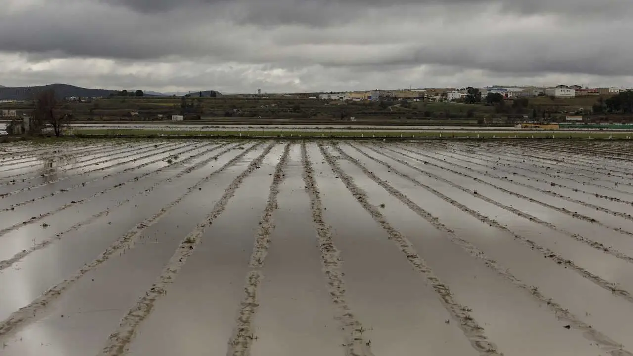 Cultivos anegados tras las inundaciones producidas por el desbordamiento del r&iacute;o Genil. A 9 de Febrero de 2026, en Hu&eacute;tor T&aacute;jar, Granada (Andaluc&iacute;a, Espa&ntilde;a).