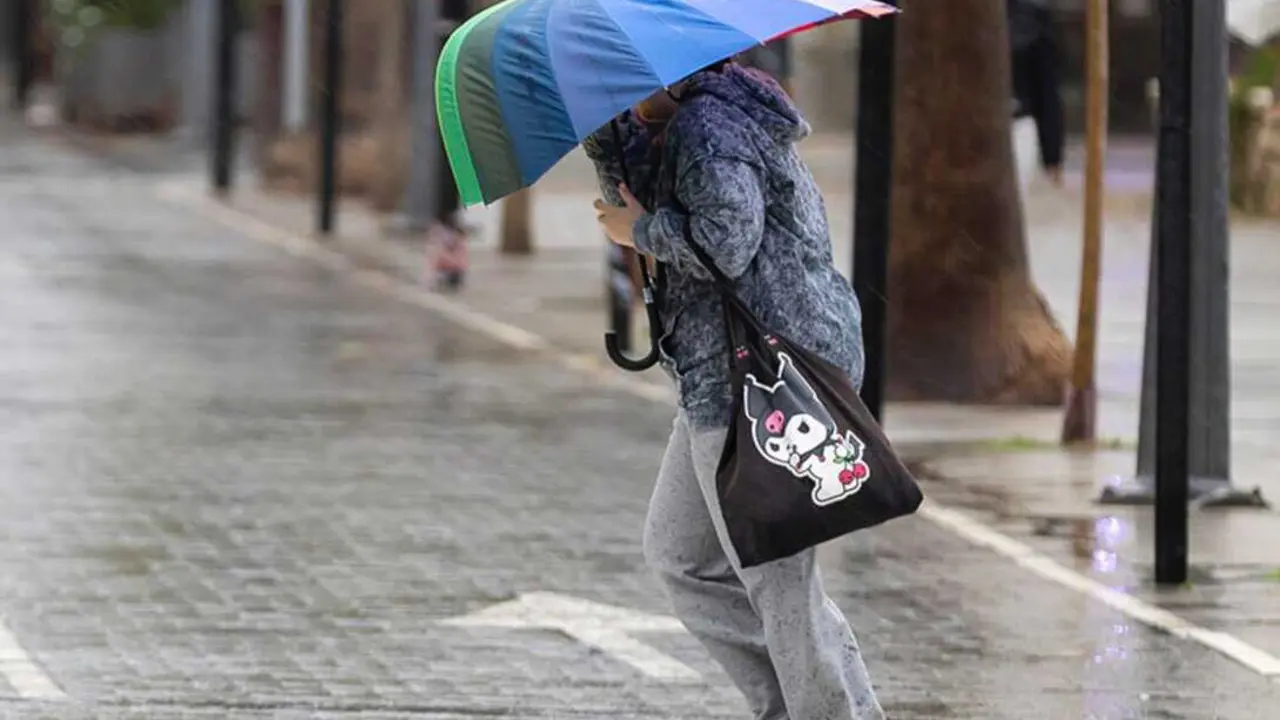  Una persona se resguarda con un paraguas de la lluvia y el viento. EFE/Alberto D&iacute;az 