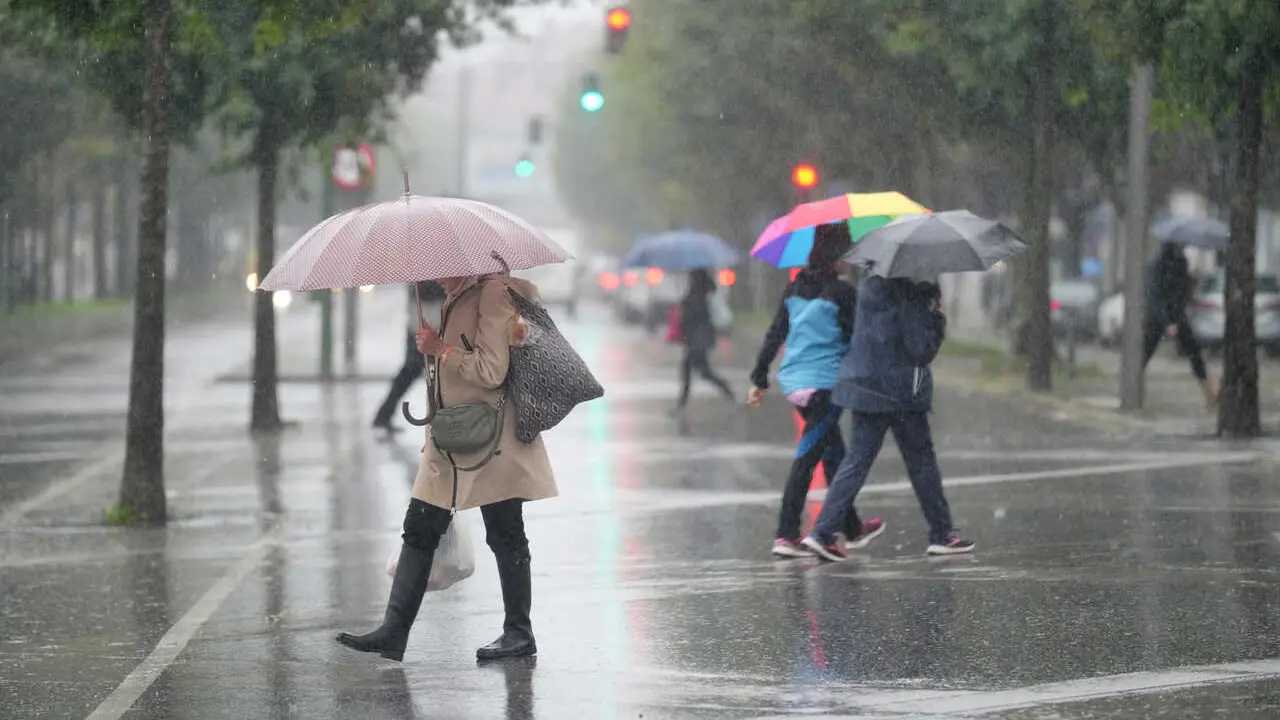 Temporal de lluvia y viento - arboles caidos y cubierta del tejado del conservatorio de m&uacute;sica levantada
