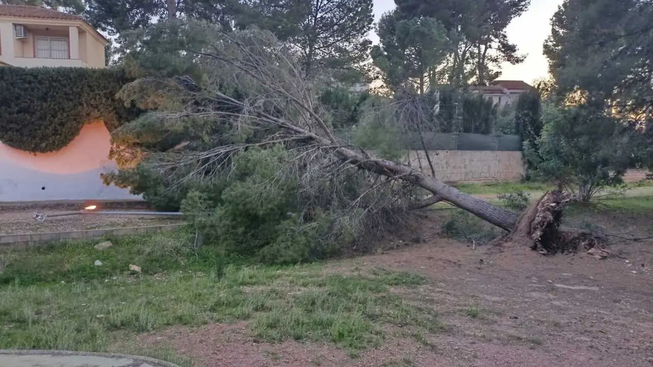 Imagen de archivo de da&ntilde;os por el temporal de viento.