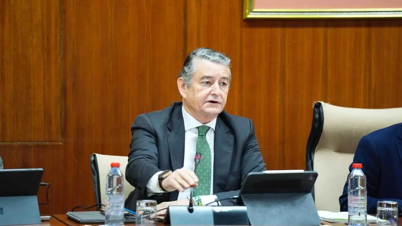 El consejero de Sanidad, Presidencia y Emergencias de la Junta de Andaluc&iacute;a, Antonio Sanz, en la comisi&oacute;n parlamentaria del 19 de febrero de 2026.