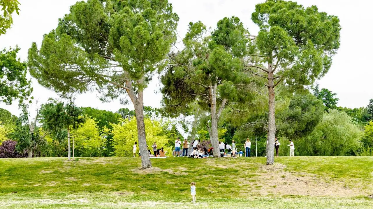 Archivo - Varias personas en el Parque Juan Carlos I, en Madrid (Espa&ntilde;a). 
