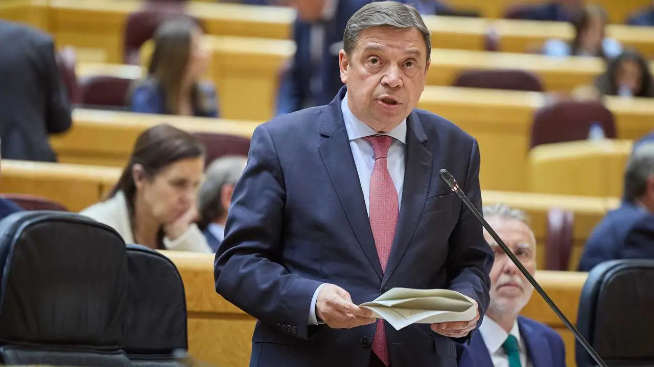Archivo - El ministro de Agricultura, Pesca y Alimentaci&oacute;n, Luis Planas, durante una sesi&oacute;n de Control en el Senado, a 7 de mayo de 2024, en Madrid (Espa&ntilde;a). 