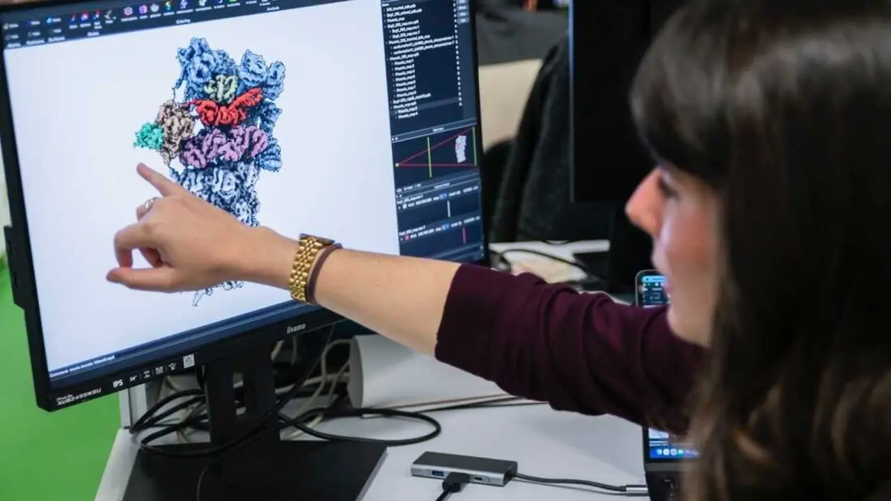 Hallan un mecanismo que permite a las c&eacute;lulas degradar prote&iacute;nas sin consumir energ&iacute;a, &uacute;til en alternativas terap&eacute;uticas