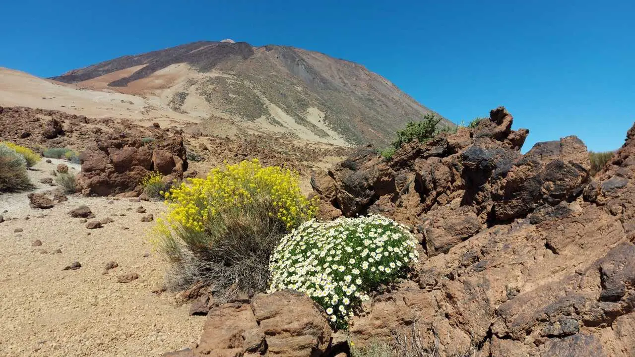 Archivo - Parque Nacional del Teide