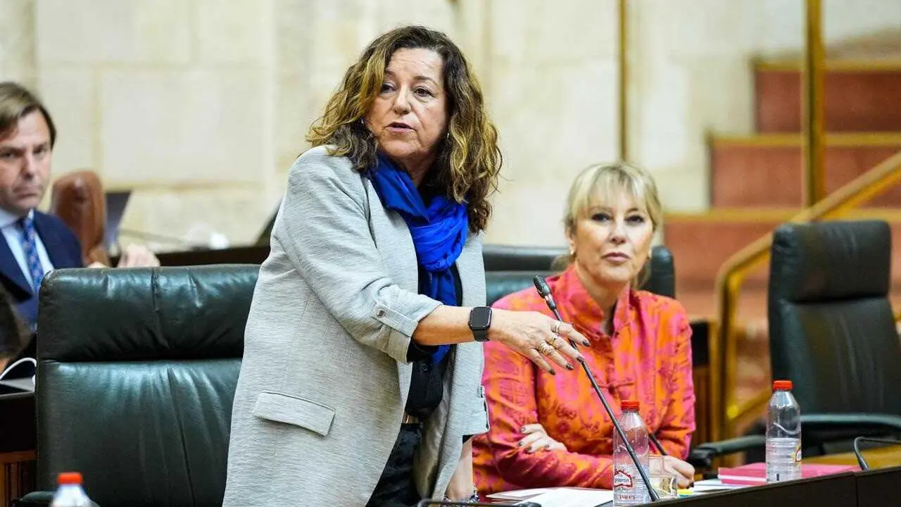 La consejera de Desarrollo Educativo y Formaci&oacute;n Profesional, Mar&iacute;a del Carmen Castillo, en el Pleno del Parlamento del 26 de febrero de 2026.