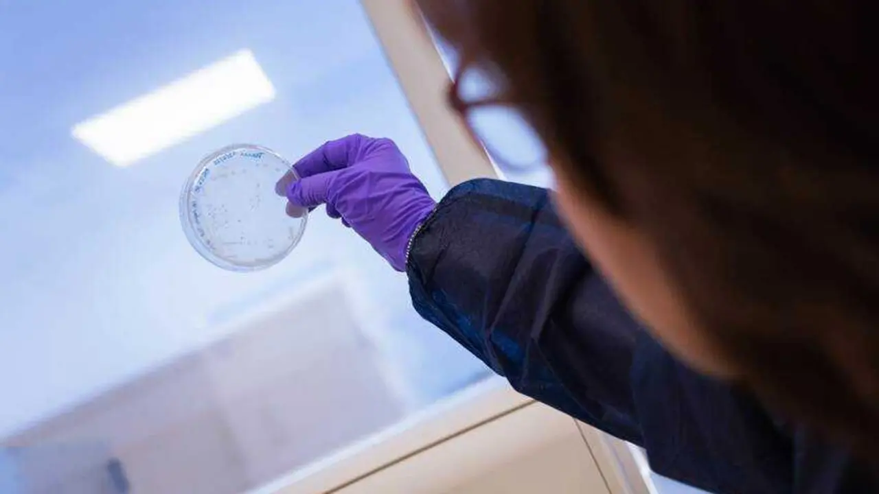 Imagen de un investigador 