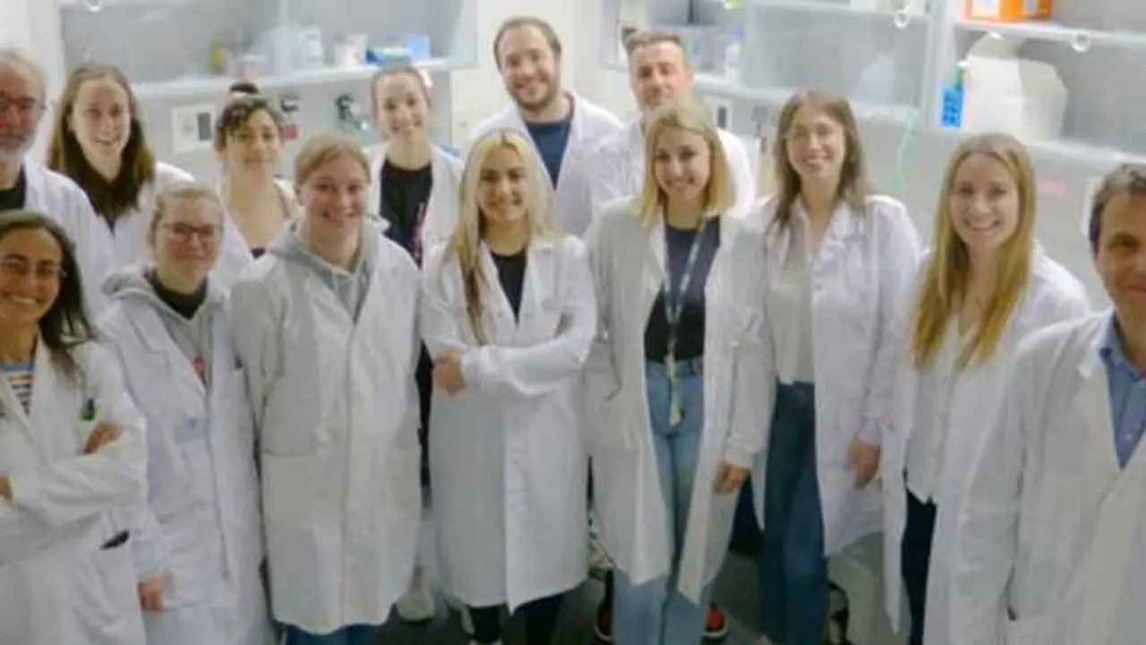 Investigador CIBER Universidad de Valencia