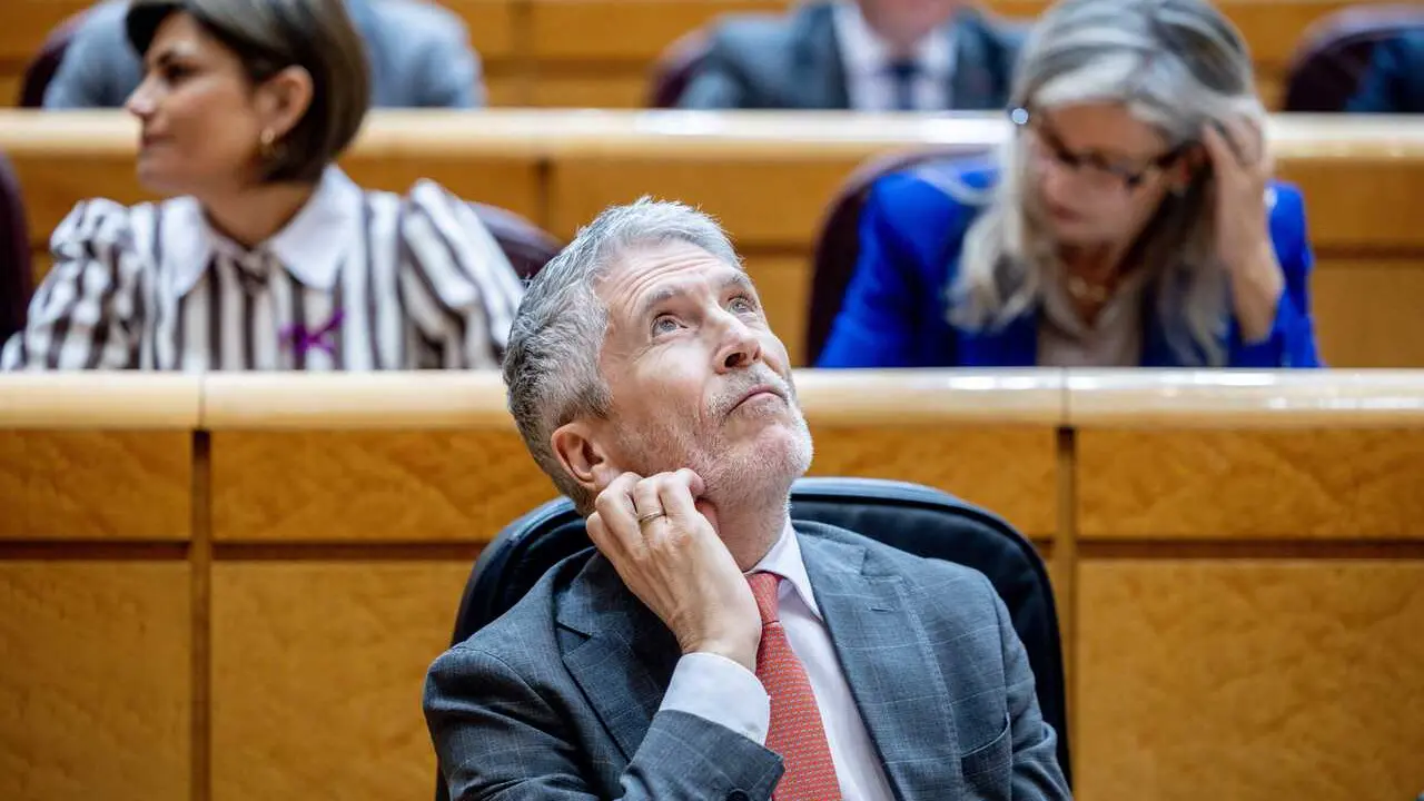 El ministro del Interior, Fernando Grande Marlaska, durante una sesi&oacute;n de control al Gobierno en el Senado