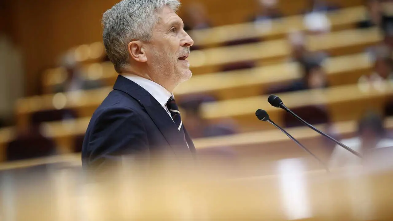El ministro de Interior, Fernando Grande-Marlaska, interviene durante una sesi&oacute;n plenaria