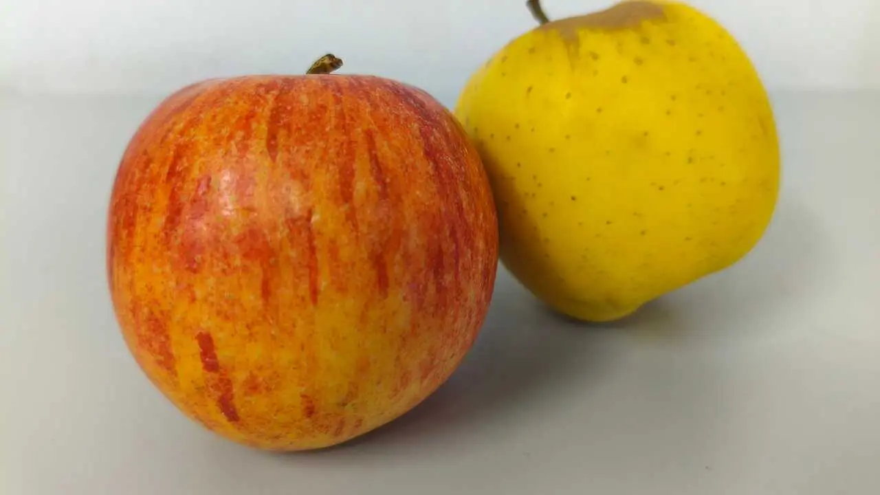 Manzana