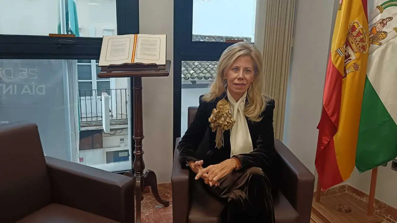Archivo - La subdelegada del Gobierno en Huelva, Mar&iacute;a Jos&eacute; Rico, durante un momento de la entrevista. Imagen de archivo. 