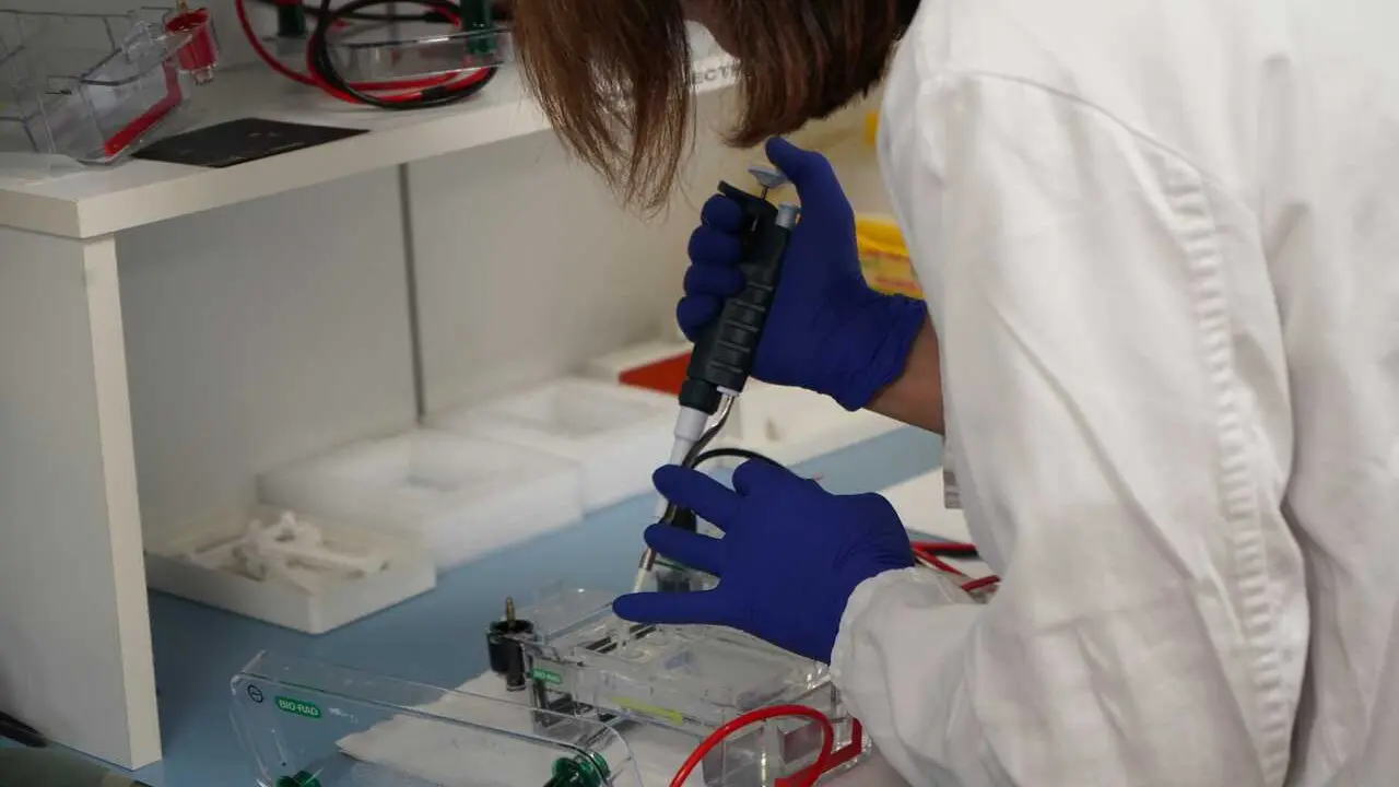 Laboratorio de Inmunolog&iacute;a del VHIR.