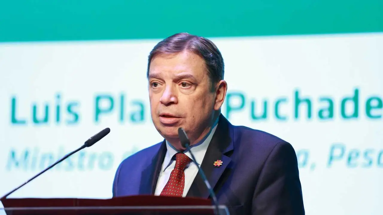 El ministro de Agricultura, Pesca y Alimentaci&oacute;n, Luis Planas