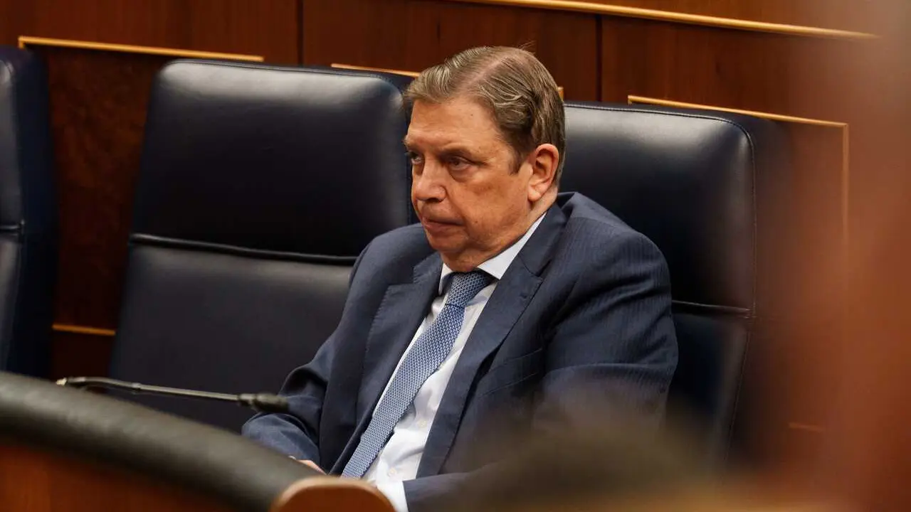 Archivo - El ministro de Agricultura, Pesca y Alimentaci&oacute;n, Luis Planas