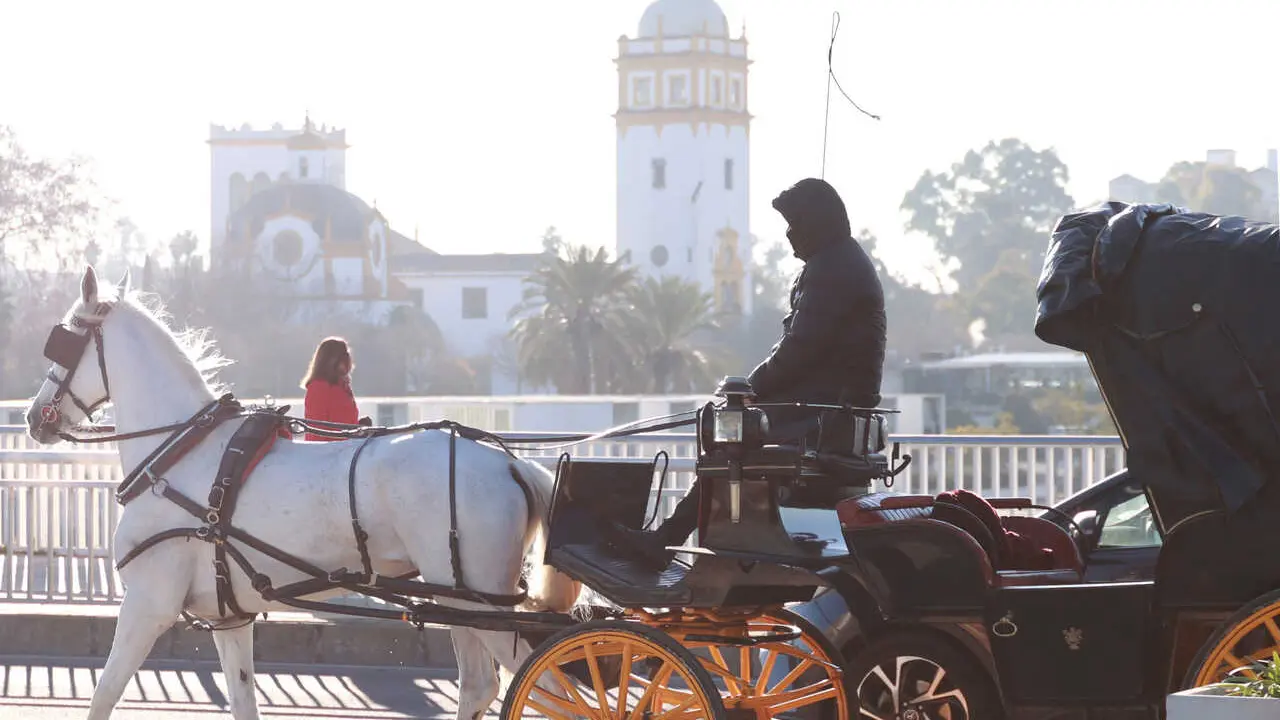 Archivo - Una cochero se abriga para protegerse del fr&iacute;o en Sevilla (Andaluc&iacute;a, Espa&ntilde;a). 
