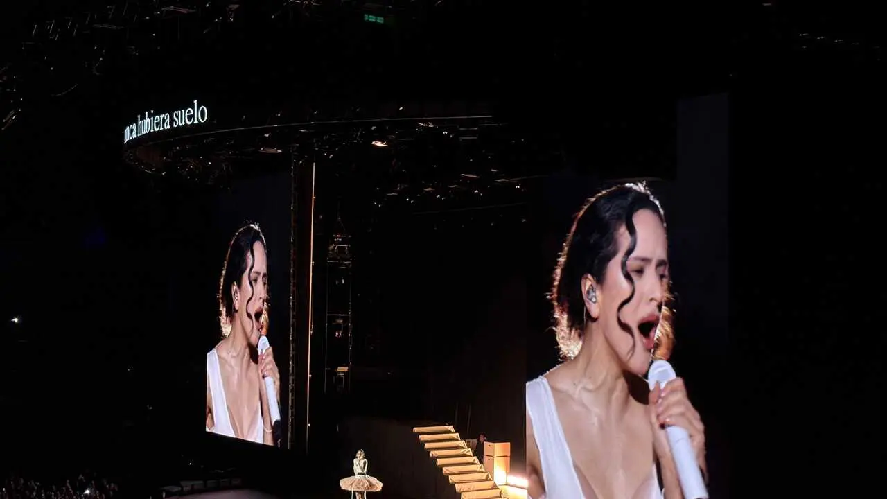 La artista Rosal&iacute;a, en el primero de sus conciertos en Madrid