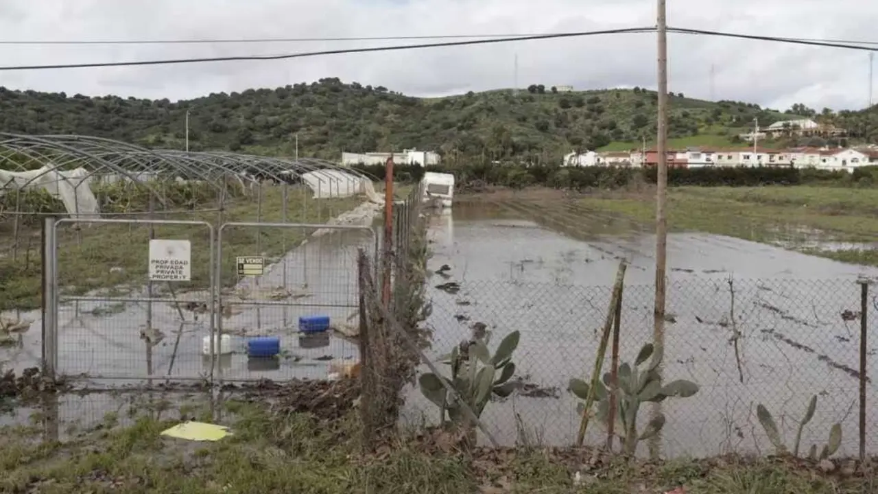 Campo afectado por el temporal