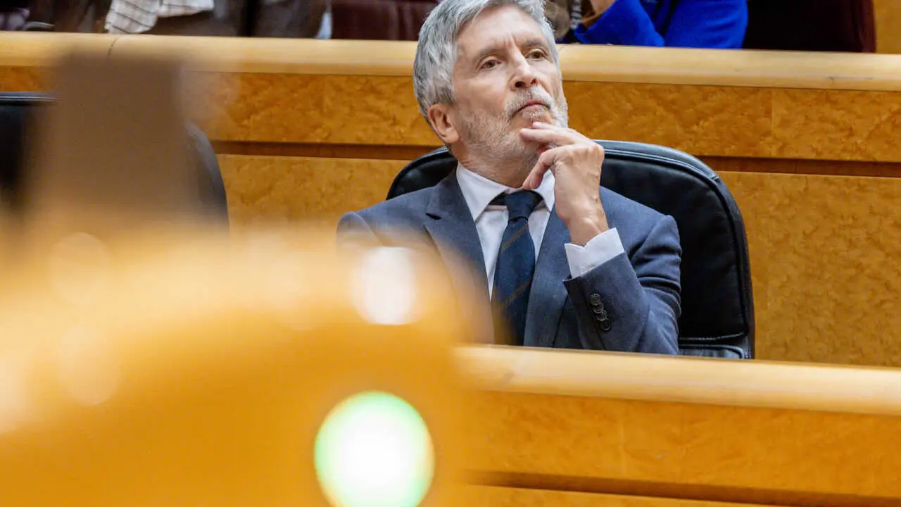 El ministro del Interior, Fernando Grande-Marlaska, durante una sesi&oacute;n de control al Gobierno, en el Senado