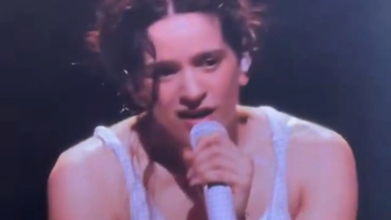 Rosal&iacute;a en el concierto de Barcelona