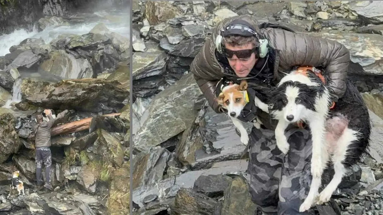 Sobrevive a una ca&iacute;da en la monta&ntilde;a y su perro es rescatado con helic&oacute;ptero
