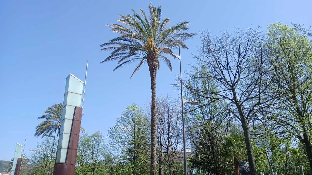 Cielo despejado en Bilbao