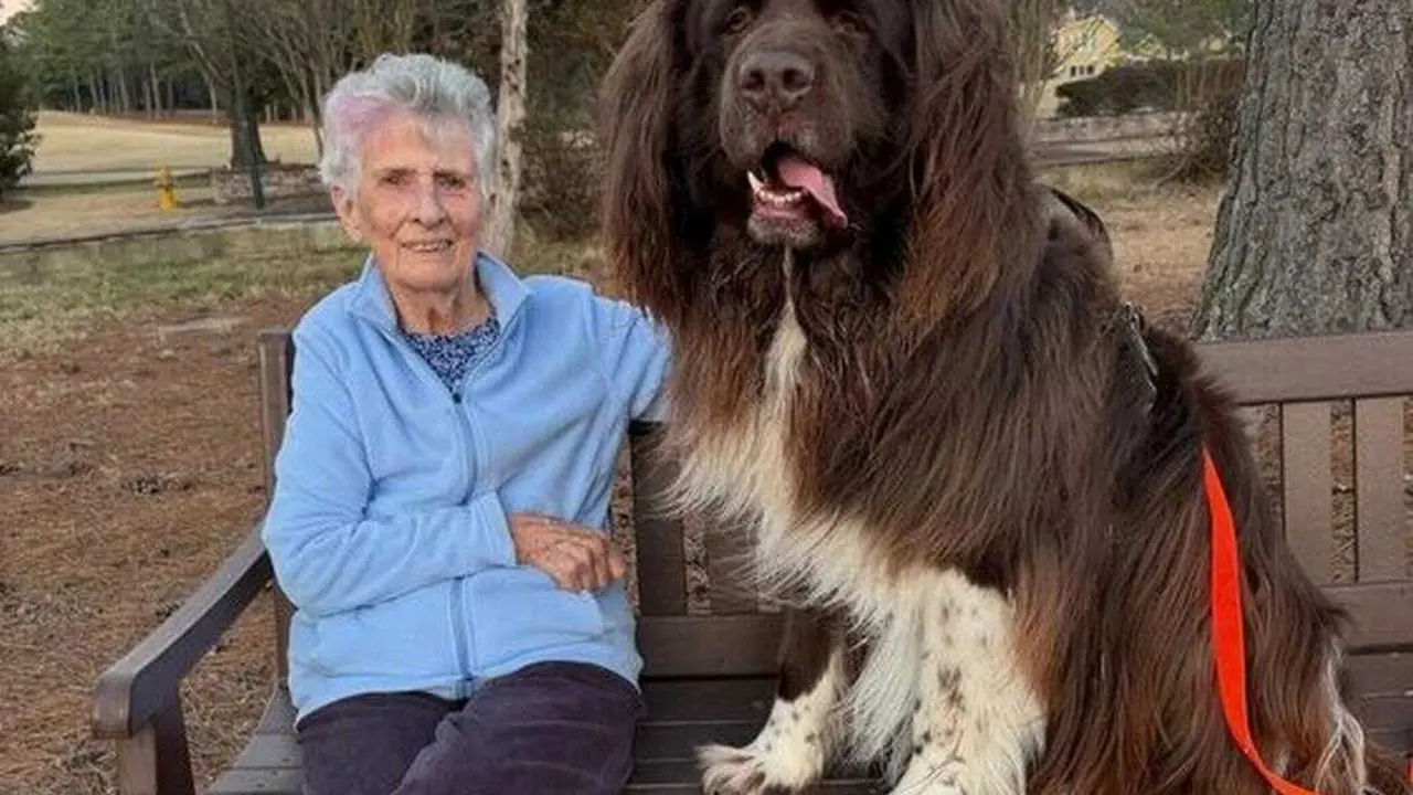 Barbara Collins y su perro Chewy