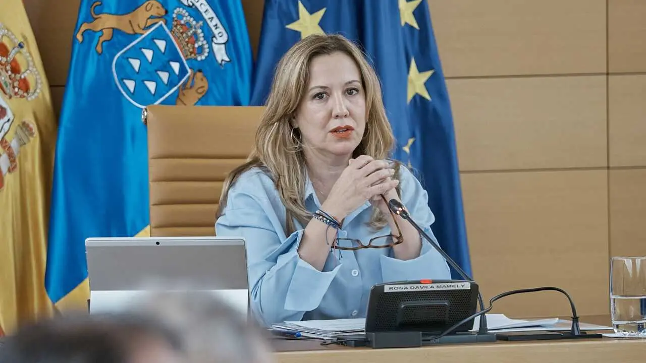 Archivo - Rosa D&aacute;vila, presidenta del Cabildo de Tenerife, en un pleno