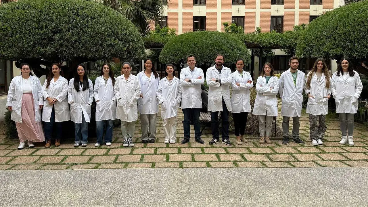 Grupo de investigaci&oacute;n
