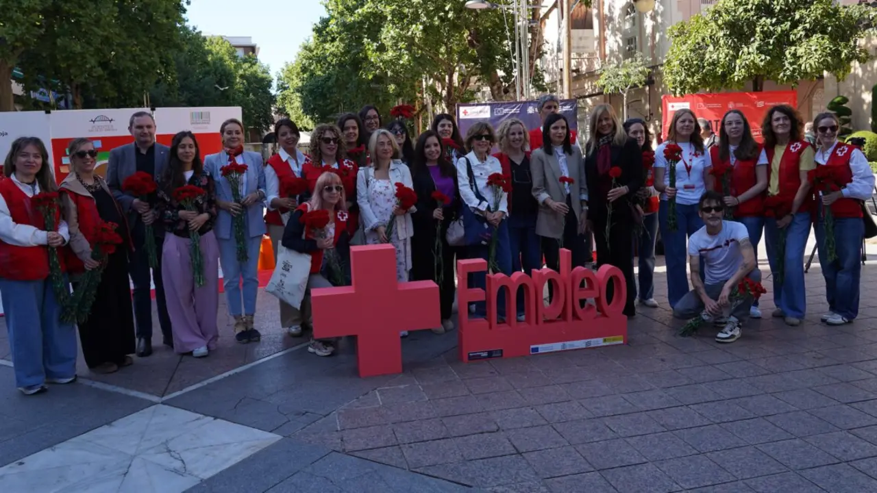 D&iacute;a del Clavel