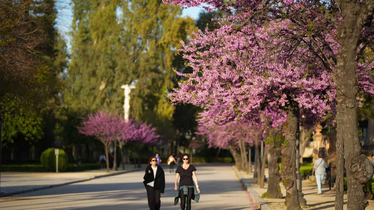 Archivo - Las altas temperaturas se imponen en la pen&iacute;nsula. 
