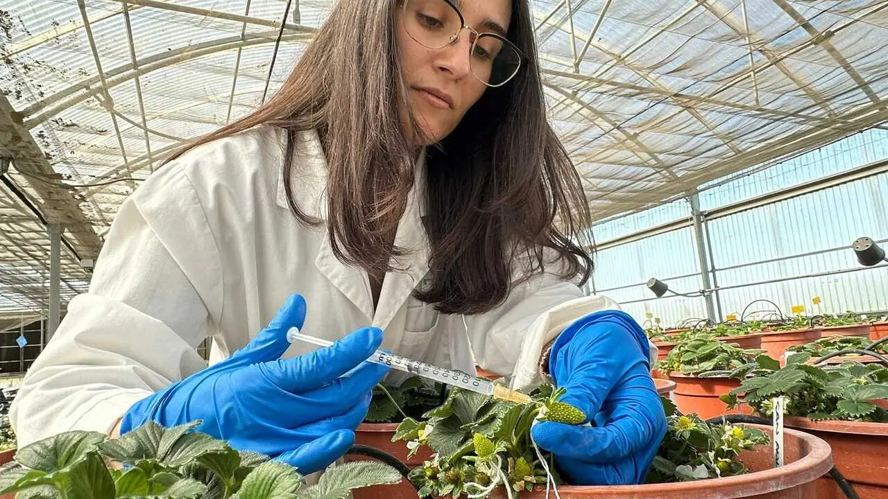 Imagen de una investigadora.
