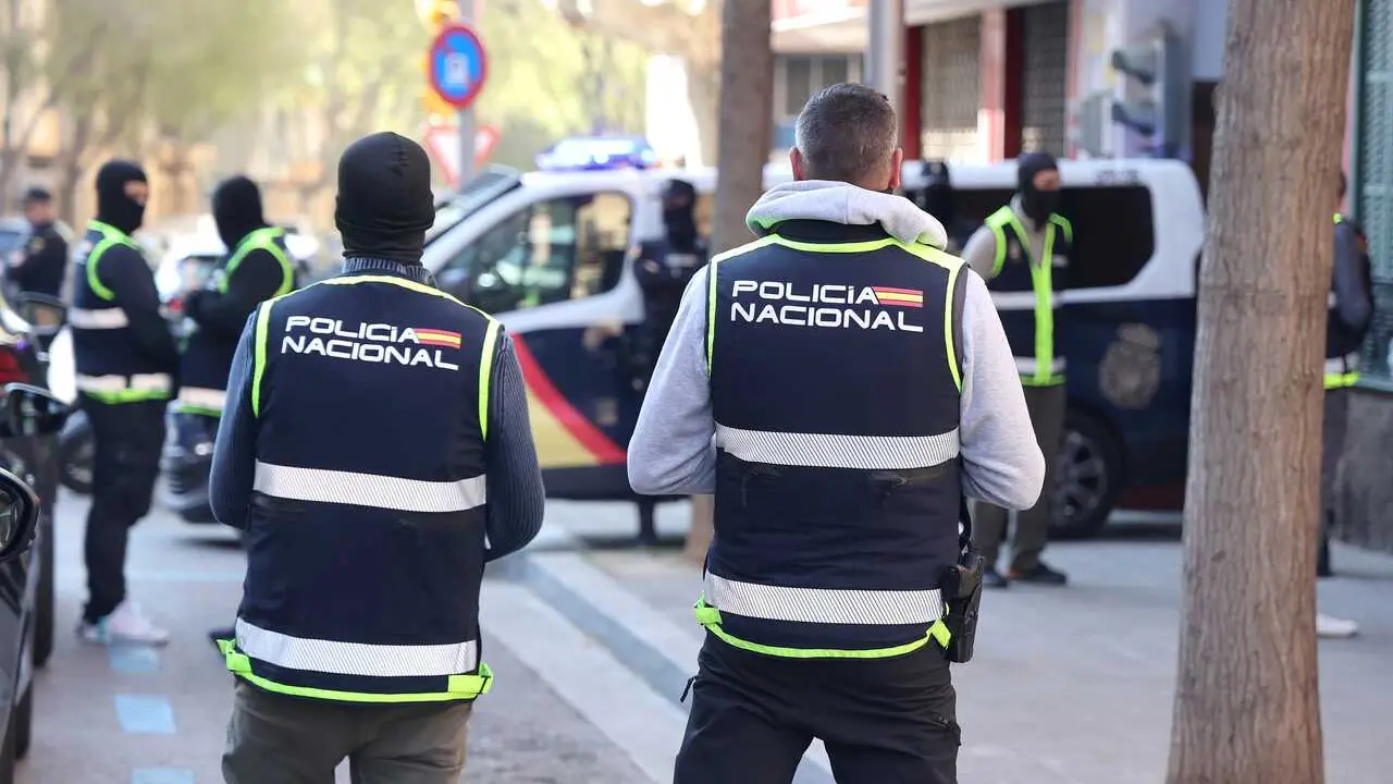 Archivo - Agentes de la Polic&iacute;a Nacional en Palma. 