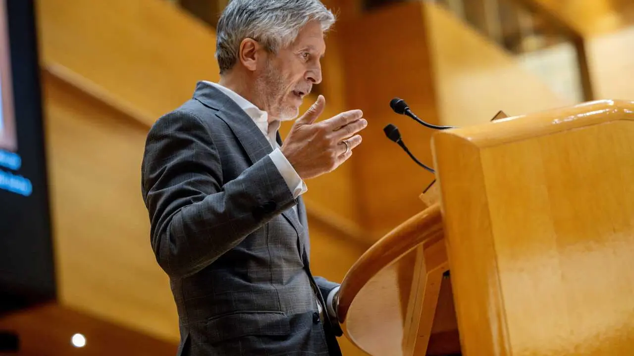 El ministro del Interior, Fernando Grande-Marlaska, interviene durante una sesi&oacute;n plenaria en el Senado