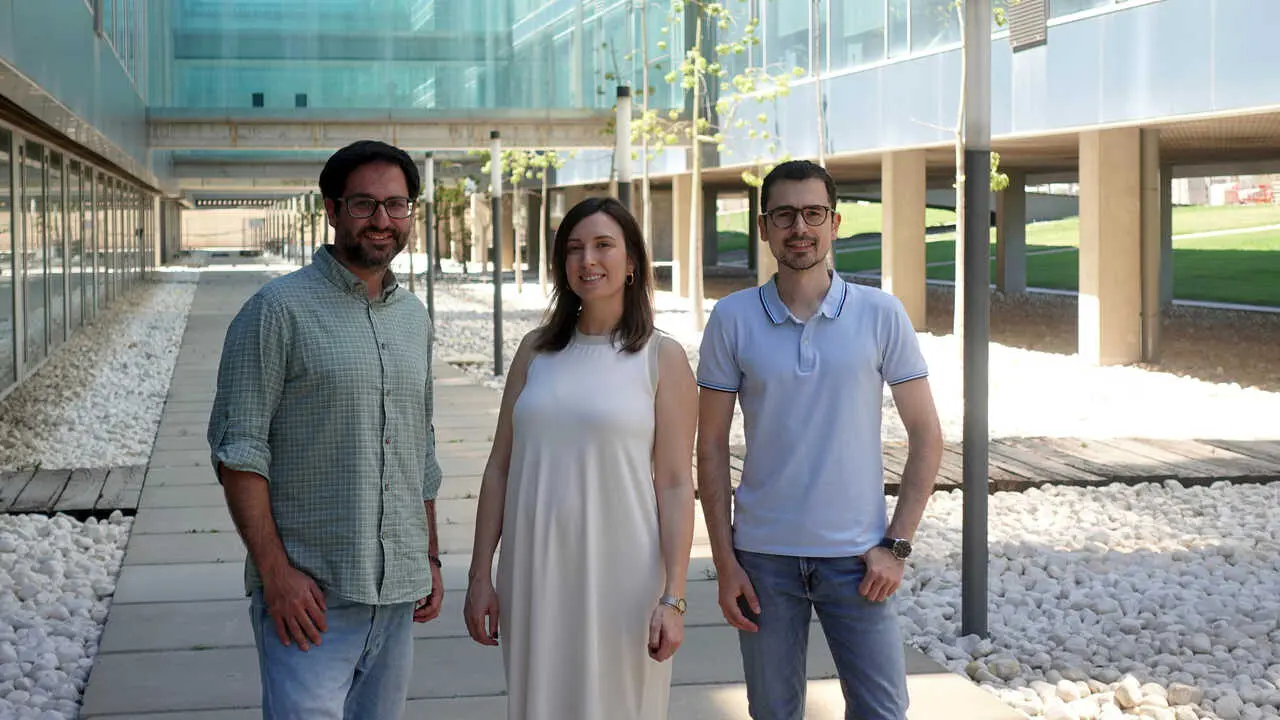 Investigadores de la UPV