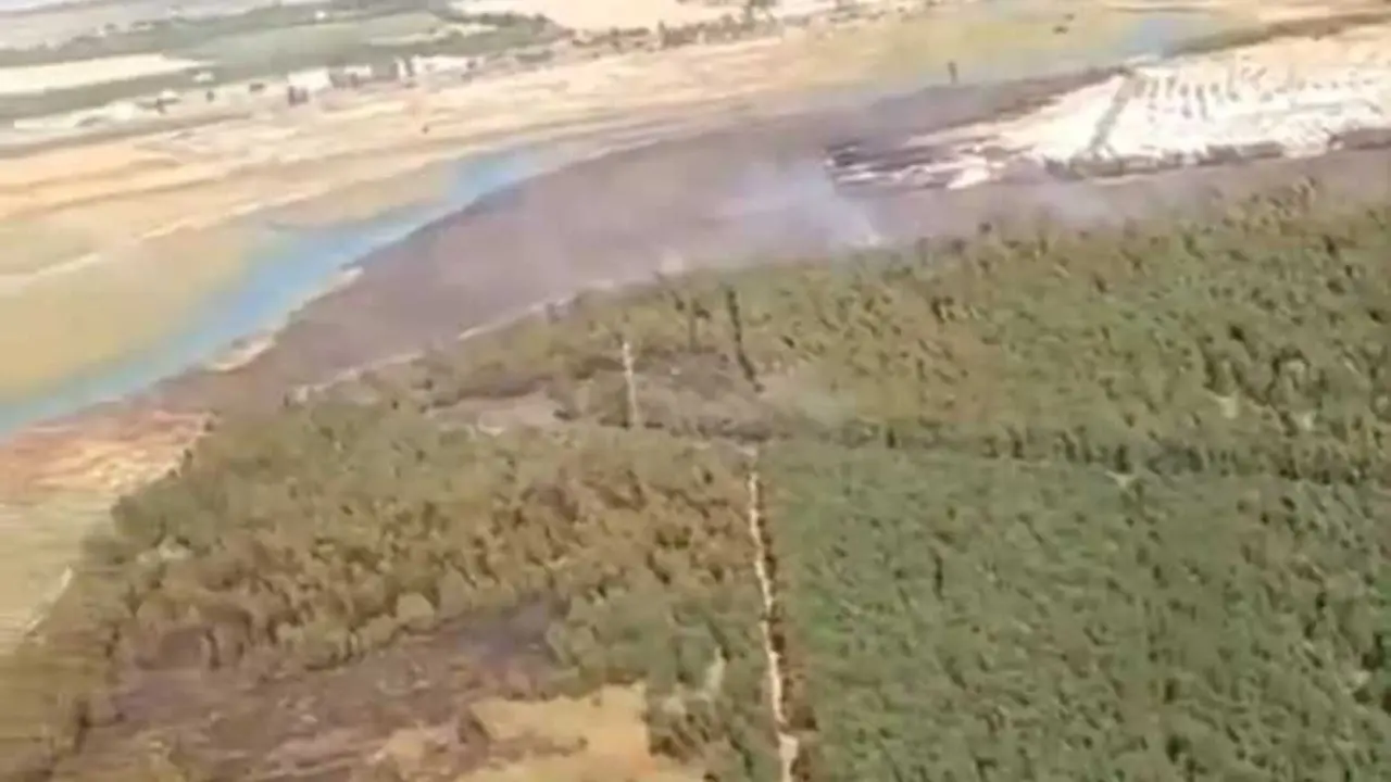 Incendio forestal de Gibrale&oacute;n.