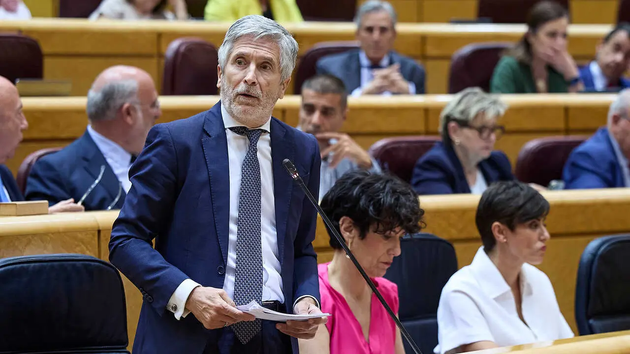 Fernando Grande-Marlaska, Ministro del Interior, durante una sesi&oacute;n de control al Gobierno, en el Senado