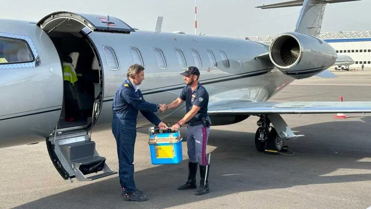 Archivo - La ONT traslad&oacute; en 2025 un total de 1.045 &oacute;rganos para trasplante por v&iacute;a a&eacute;rea, 114 menos que en 2024 