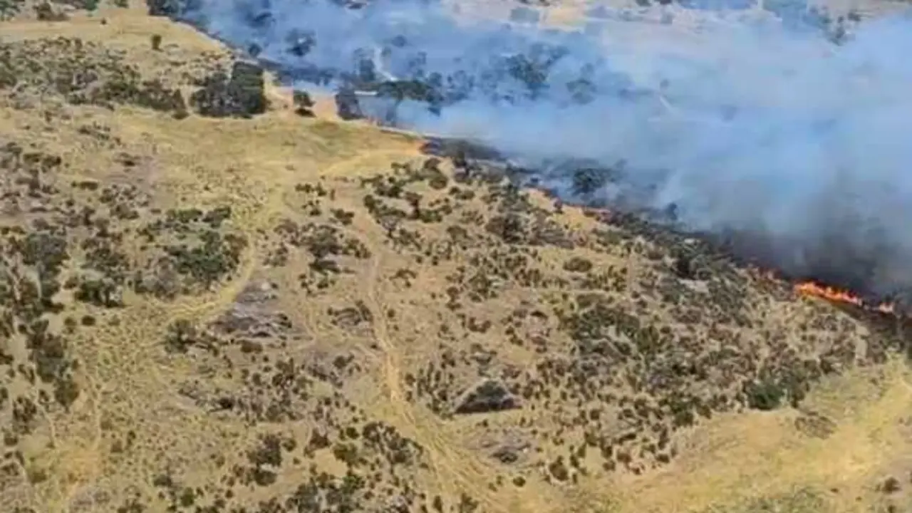 Incendio forestal en Plasencia (C&aacute;ceres), a 13 de junio de 2026.