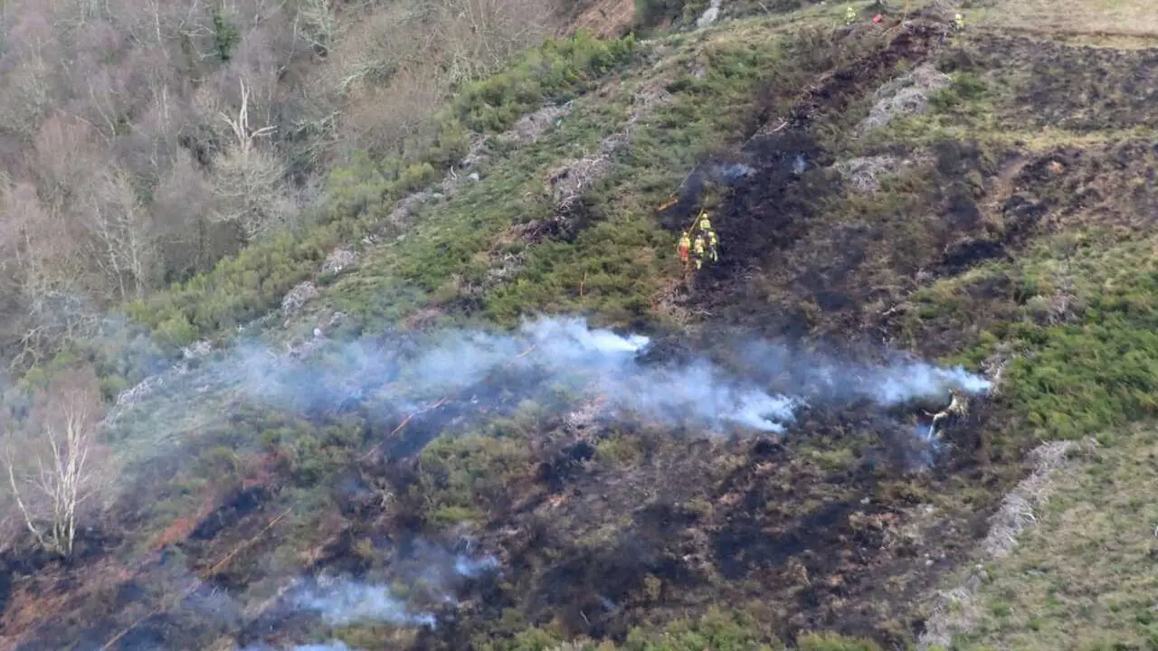 Archivo - Incendio forestal, foto de archivo
