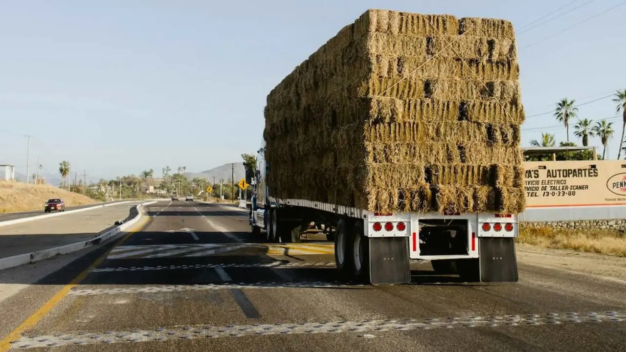 Solidaridad nacional ayuda a rancheros de Nebraska tras incendio hist&oacute;rico