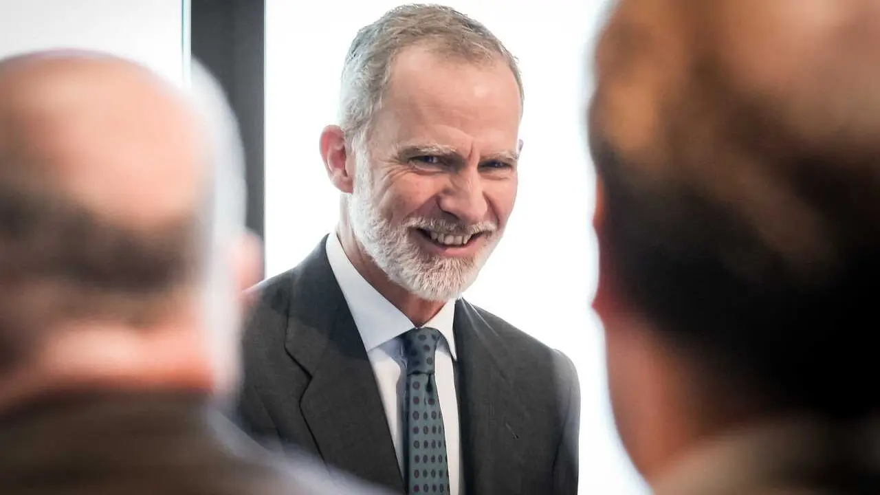El Rey Felipe VI