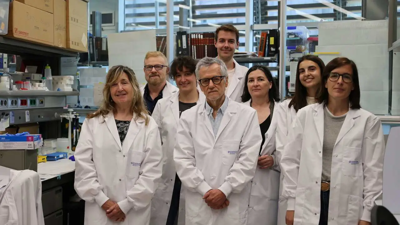 Identifican una nueva estrategia contra el c&aacute;ncer de p&aacute;ncreas que ataca las c&eacute;lulas tumorales