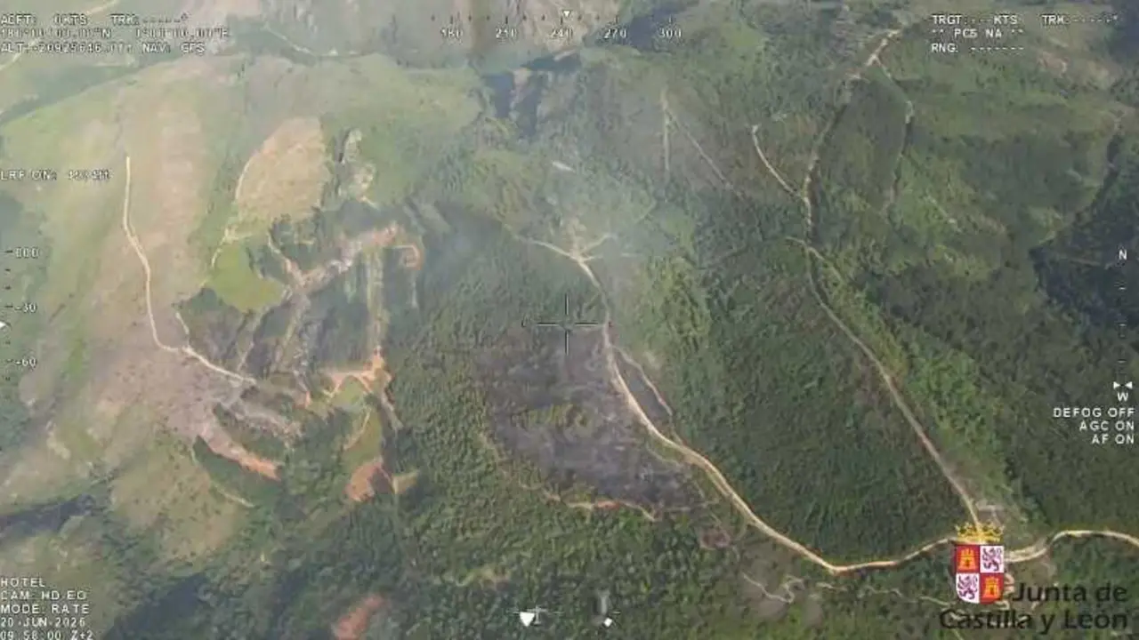 Incendio forestal en San Vicente (Le&oacute;n).