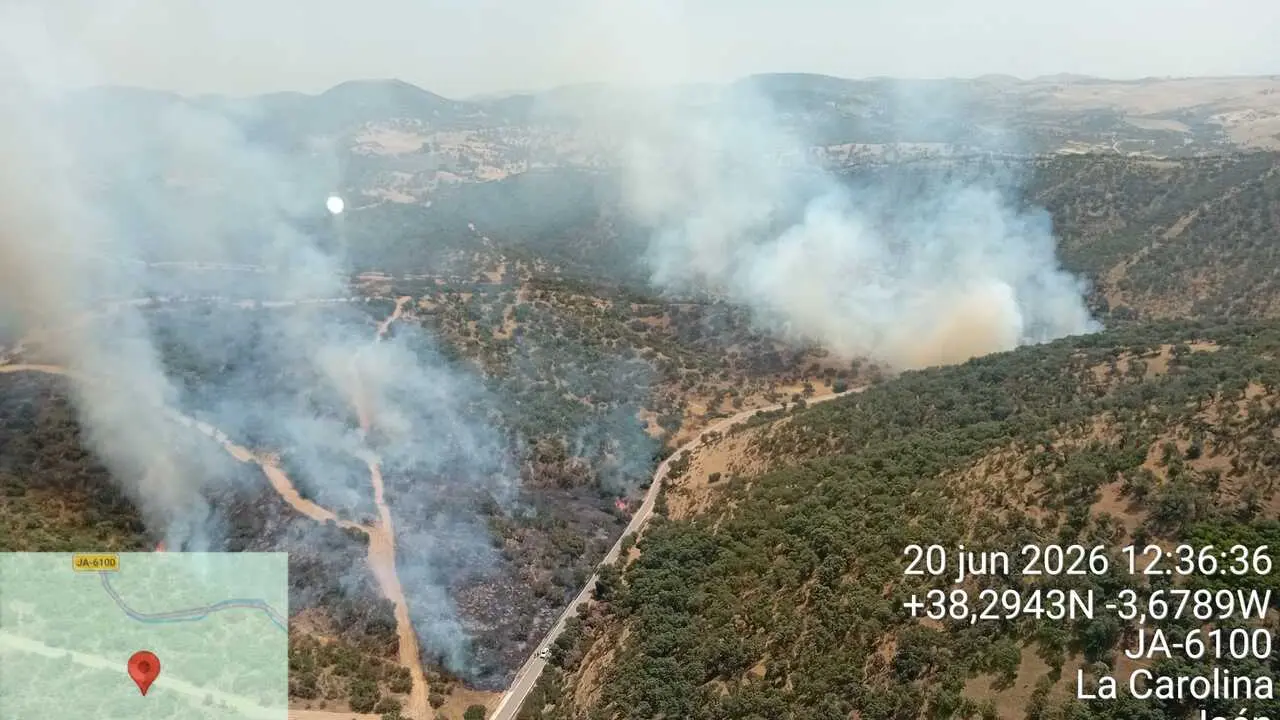 Imagen a&eacute;rea del incendio forestal declarado en La Carolina (Ja&eacute;n).