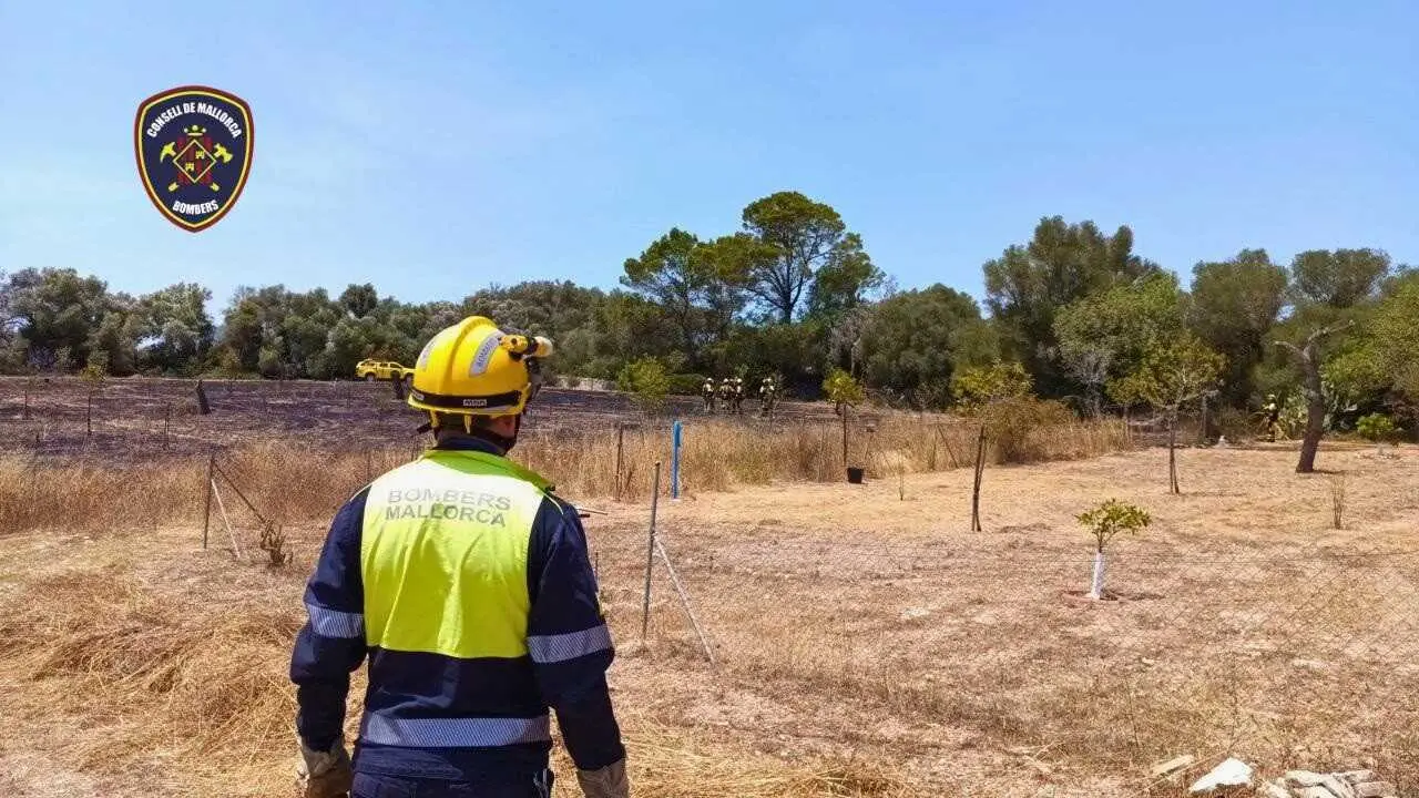Controlado el incendio forestal en Petra tras quemar m&aacute;s de una hect&aacute;rea de vegetaci&oacute;n
