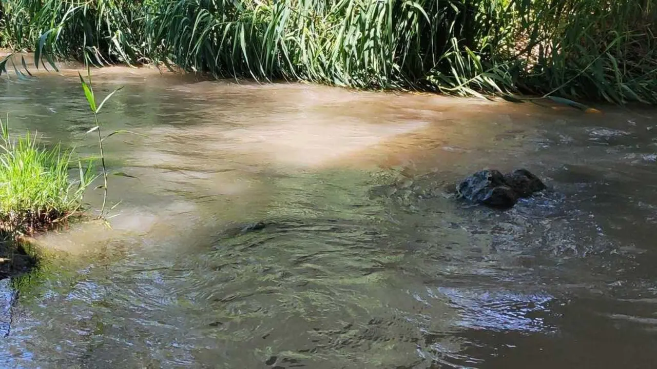 R&iacute;o Huerva a su paso por Zaragoza.